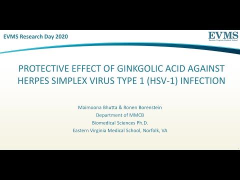 Thumbnail image of video presentation for Protective effect of Ginkgolic acid against Herpes simplex virus type 1 (HSV-1) Infection