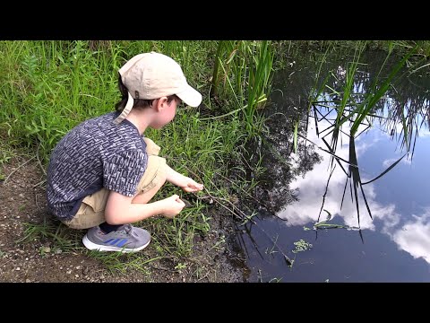 Frogs, Turtles, & Snakes with the 5-year-old Animal Whisperer