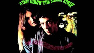 The Leathercoated Minds - Along Comes Mary (The Association Cover)