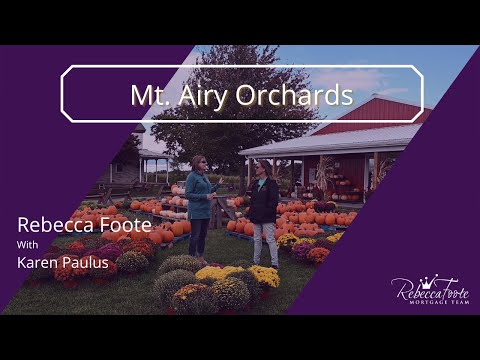 Mt Airy Orchards