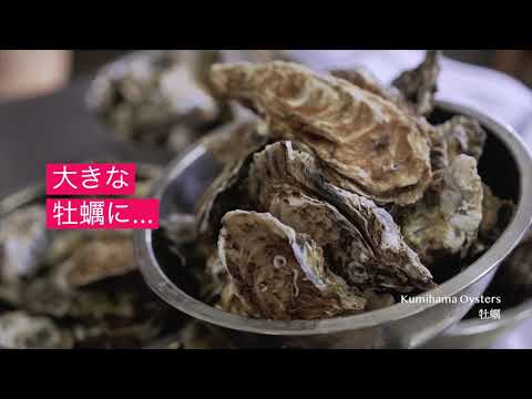 京都・久美浜の海