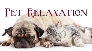 Pet Relaxation : Music for Cats, Dogs and Furry Friends