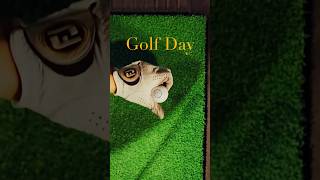 Golf vlog #vlog #vlogging #cinematic #cinematography