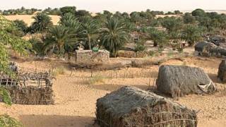 Delerium Twilight (Video in the Desert)