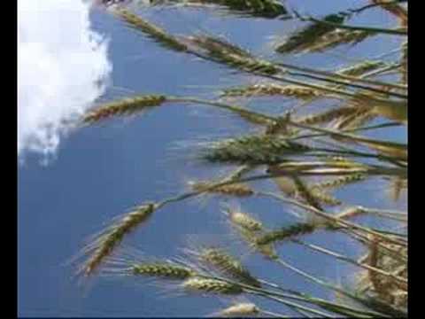 Natural imagination :-Documentary