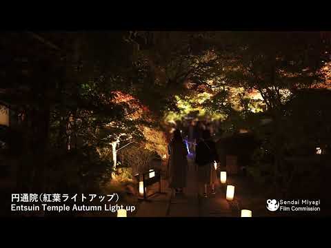 17　円通院 （紅葉ライトアップ）
