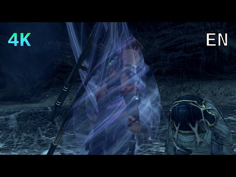 [4K] Xenoblade Chronicles D.E. Cutscene 022 – Reyn and the Arachnos – ENGLISH
