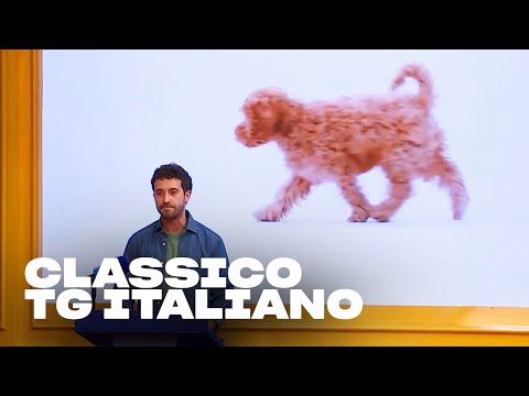 Il TG di EDOARDO FERRARIO | LOL: Chi ride è fuori - S4