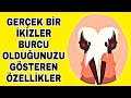 TAM BİR İKİZLER BURCUNUN TÜM ÖZELLİKLERİ