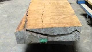 Large Piece of Ancient Kauri wood- very unique shape!