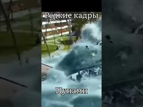 Чудові миттєвості