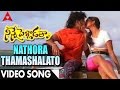 Nathora Thamashalato Video Song Ninne Pelladatha Movie Nagarjuna Tabu