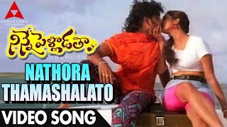 Nathora Thamashalato Video Song - Ninne Pelladatha Movie - Nagarjuna,Tabu