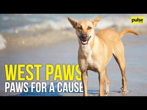 West Paws: Paws For A Cause