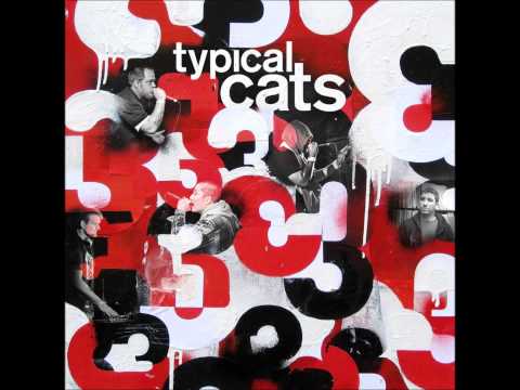 Typical Cats - Better Luck