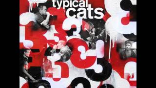 Typical Cats - Better Luck