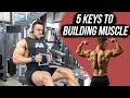 THE 5 KEYS TO BUILDING MUSCLE | CRAZY BACK WORKOUT