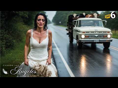 Groom canceled his wedding because his fiancée was poor, not knowing she would become a millionaire.