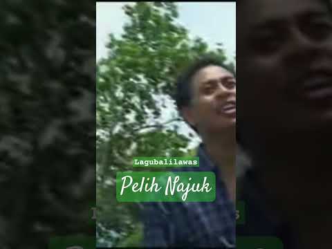 Pelih najuk #shorts #lagubali #music