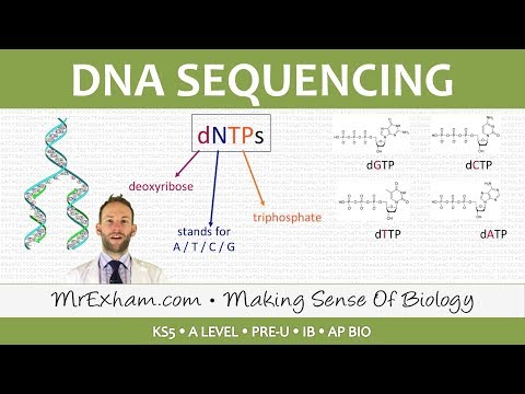 DNA sequencing - Post 16 Biology (A Level, Pre-U, IB, AP Bio)