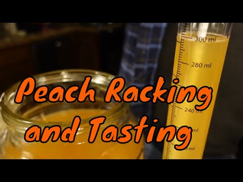Peach Mead | Racking and Tasting