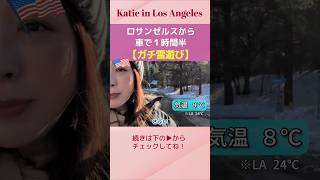 ロサンゼルス在住でも本格雪遊び⛄#アメリカ生活