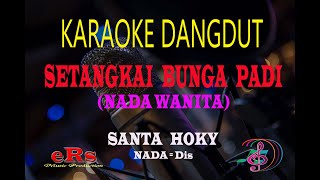 Download lagu Karaoke Setangkai Bunga Padi Nada Wanita - Santa Hoky (Karaoke Dangdut Tanpa Vocal) mp3 Download lagu Karaoke Setangkai Bunga Padi Nada Wanita - Santa Hoky (Karaoke Dangdut Tanpa Vocal) mp3