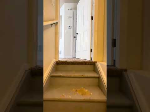 Great House In Fort Collins property video