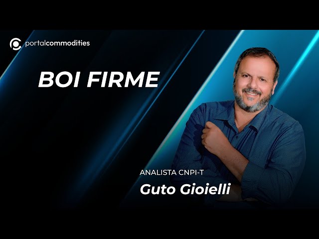 Milho segura no fechamento