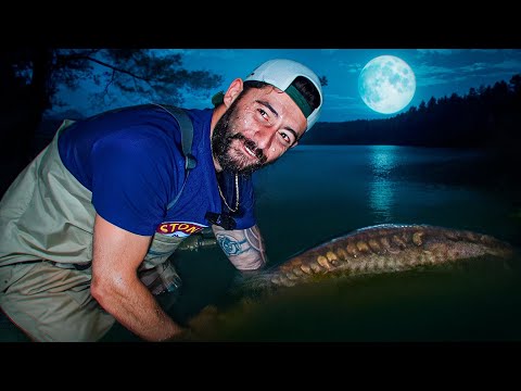 Chasing my Dream Fish (It almost BROKE me…)