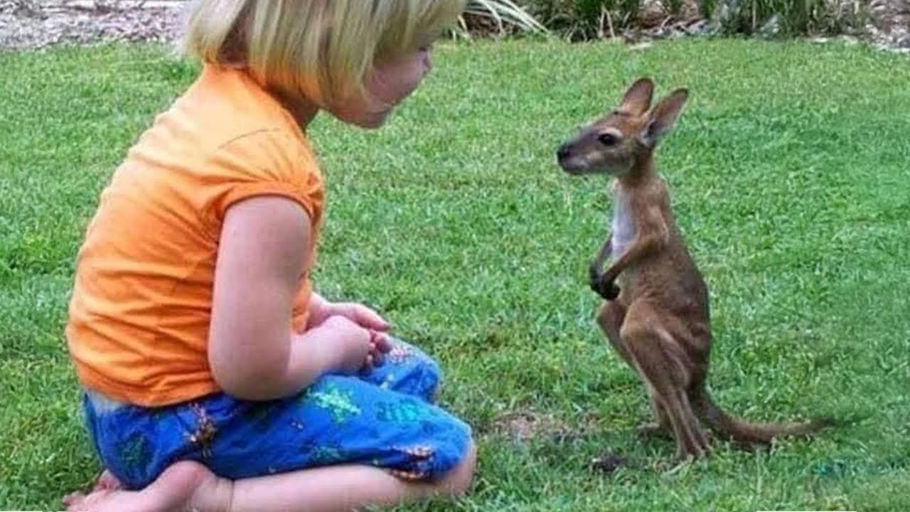 Animals are Perfect Companions for Children! ❤️