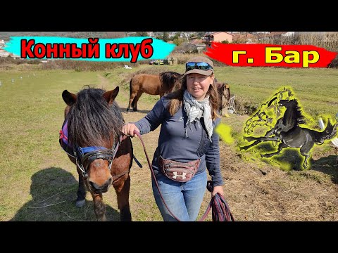 В городе Бар в Черногории открылся конный клуб - видео