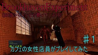 #1【カフェの女性店員】360度からゾンビが襲ってくるVRゲームBrookhavenExperimentをやらせてみた