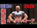 話題の細胞核オーバーロードについて