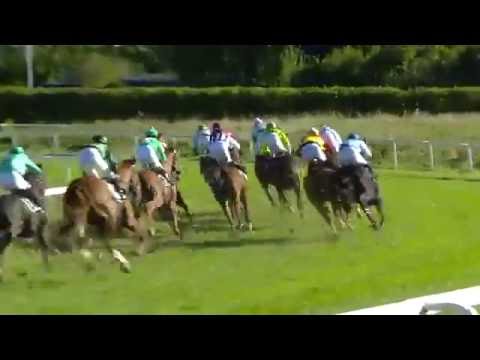 2016.10.02 Breeders Prize Classic (NOR) - Appelina