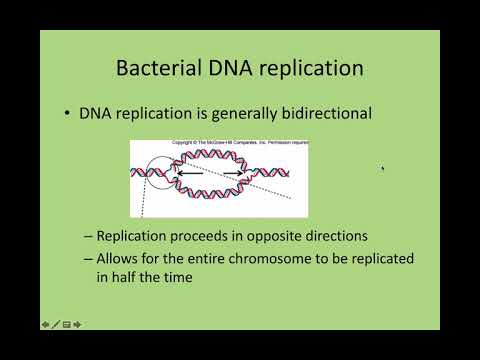 Chapter 9 Part 1 video