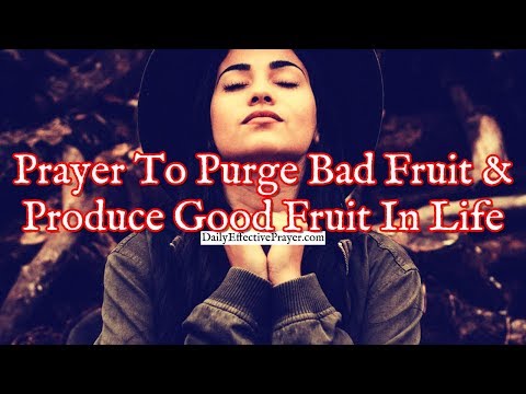 Prayer To Purge Bad Fruit and Produce Good Fruit In Your Life Video