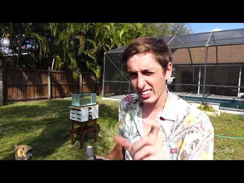 Pouring Molten salt into Water   Explosion!