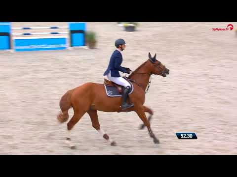 King of Picobello Z Full brother of Kamikase