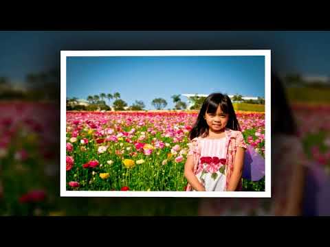 Mike & Angeli - Flower Fields 2012