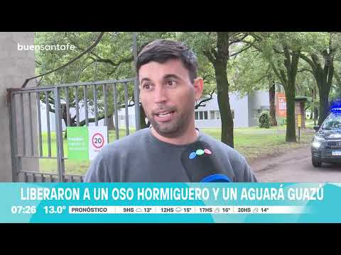 Liberaron a un aguará guazú y un oso hormiguero tras su paso por el Centro de rescate La Esmeralda