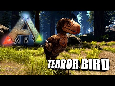 Taming A Terror Bird | Ark Survival Evolved | The Island
