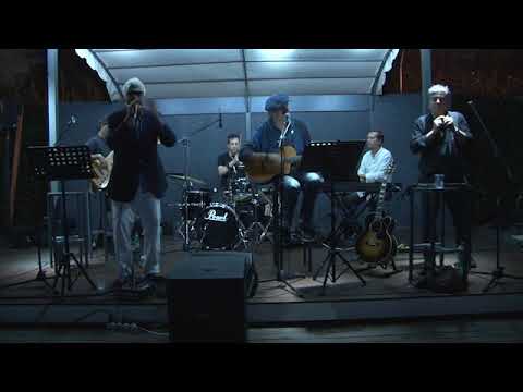 harold bradley Let the migthnigth special