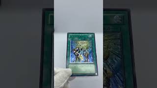 【おすすめコレクションカード紹介～6日目～】美しい！のになぜ安い！？このカードはぜひコレクションしてほしい！！天よりの宝札！！