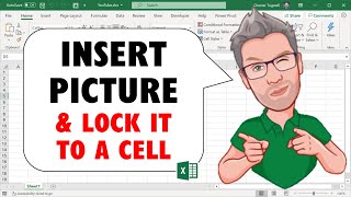 Insert an Image into an Excel Cell - Lock it to the Cell for Sorting and Filtering