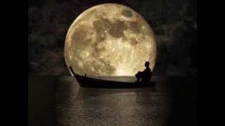 Noche y dia - Gatos Locos