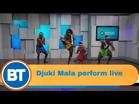 Live performance from  Djuki Mala!