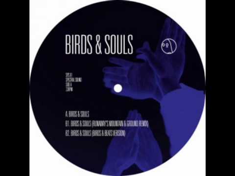 BIRDS AND SOULS - BIRDS AND SOULS (RUNAWAY'S MOUNTAIN AND GROUND RMX)