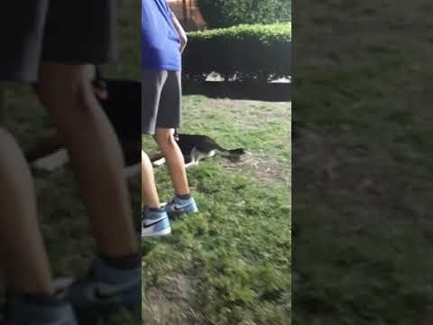 @Part 2 hadika Yarmouk