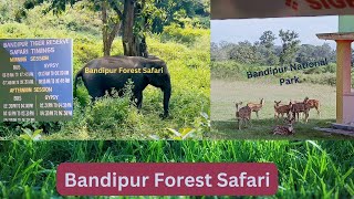 Bandipur Safari - Bandipur Tiger Reserve and National Park | Tickets and Timing | Part 2